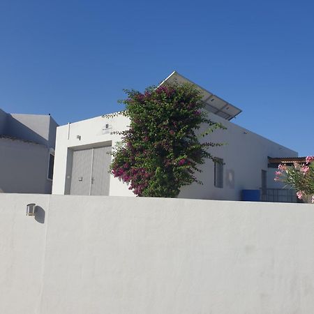 Vila Casa De La Vida Liebetruth A Aspe Exteriér fotografie