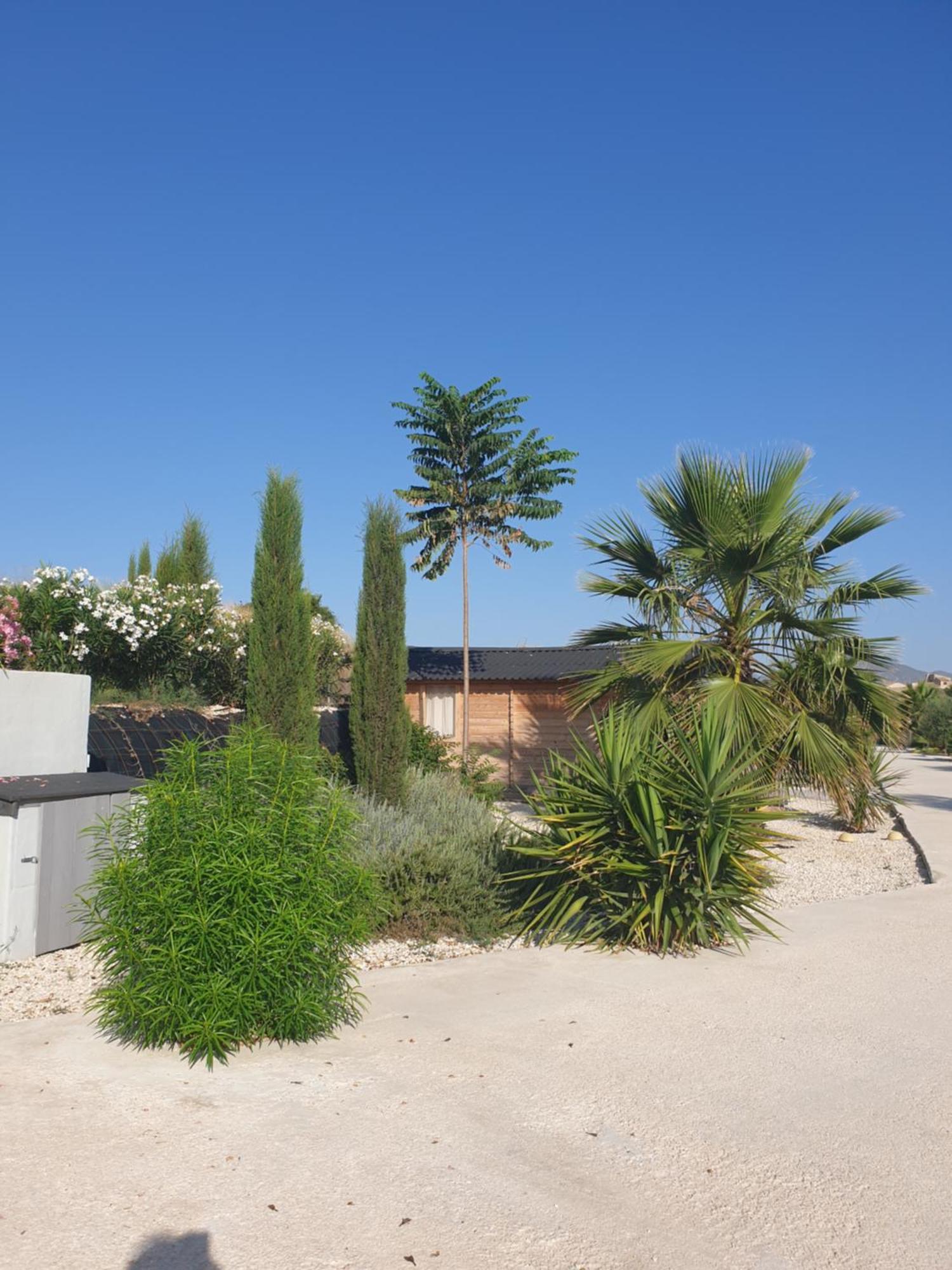 Vila Casa De La Vida Liebetruth A Aspe Exteriér fotografie